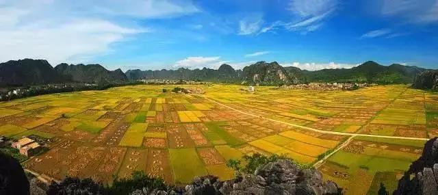 中國(guó)經(jīng)濟(jì)體制改革基金會(huì)全國(guó)第一！中國(guó)改革熱度第三方評(píng)估出爐，云浮宣傳系數(shù)在全國(guó)343個(gè)城市居首位                             